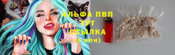 PSILOCYBIN Балабаново