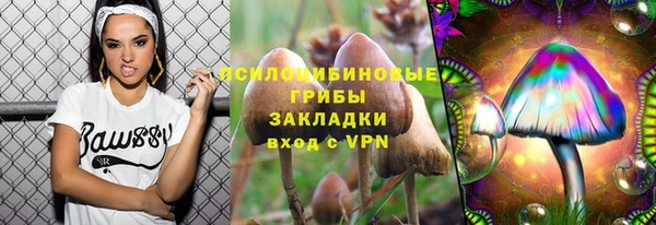 Альфа ПВП Баксан