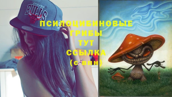 Альфа ПВП Баксан