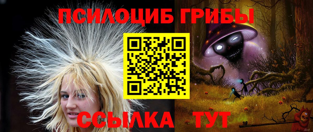 Белово  Галлюциногенные грибы прущие грибы  Псилоцибиновые грибы Cubensis  Вход с VPN 