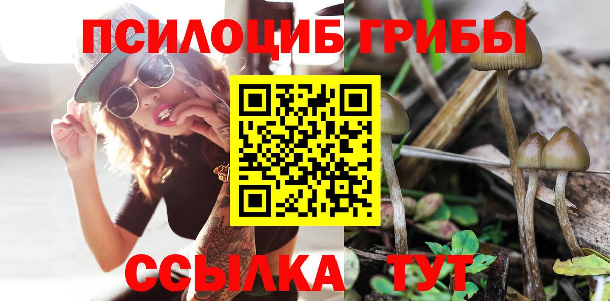 Галлюциногенные грибы GOLDEN TEACHER Белово