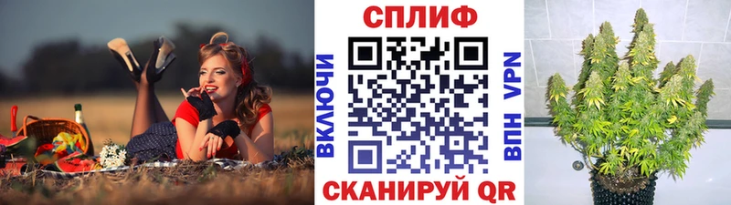 Бошки марихуана Bruce Banner Белово